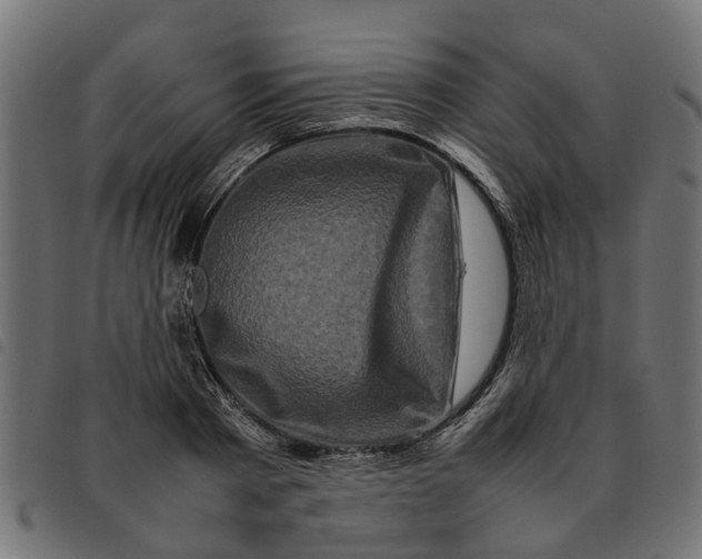 X0000092230793200710121217