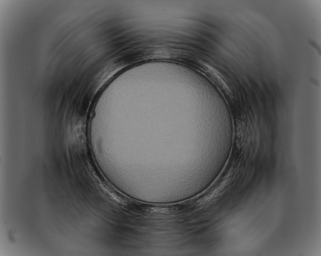 X0000092230794200710121217