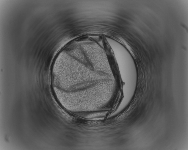 X0000092230795200710121217