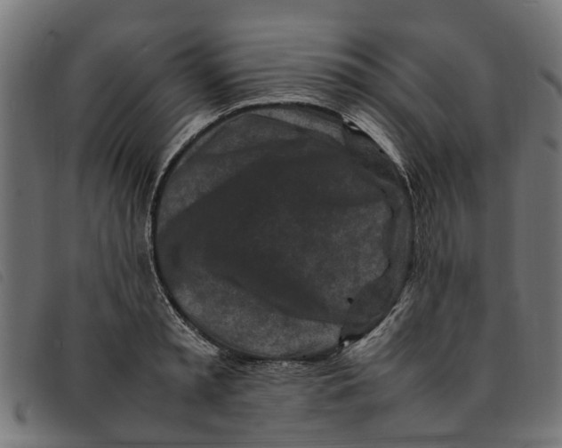 X0000092230797200710121217