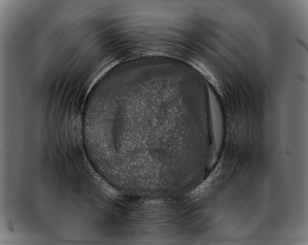 X0000092230798200710121217