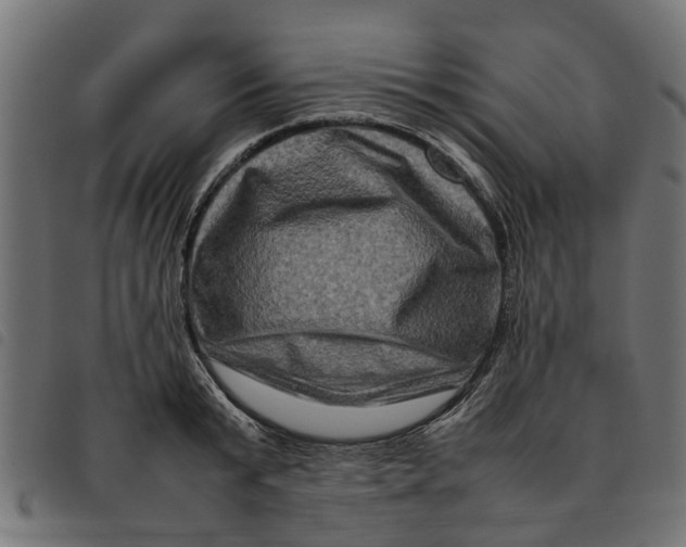 X0000092230799200710121217