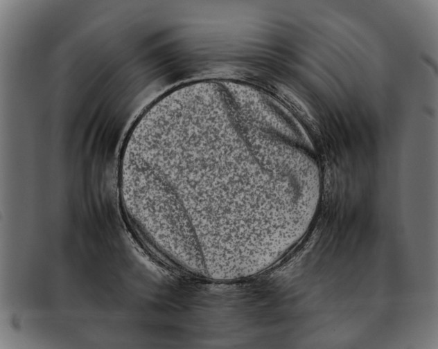 X0000092230800200710121217