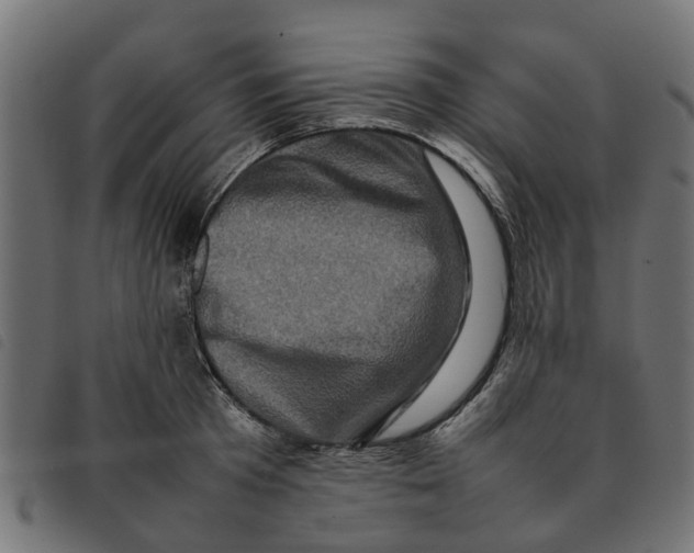 X0000092230801200710121217