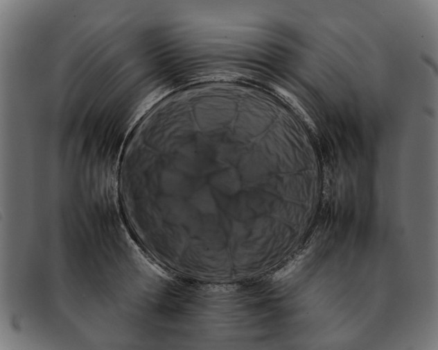 X0000092230802200710121216