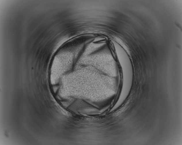 X0000092230803200710121216