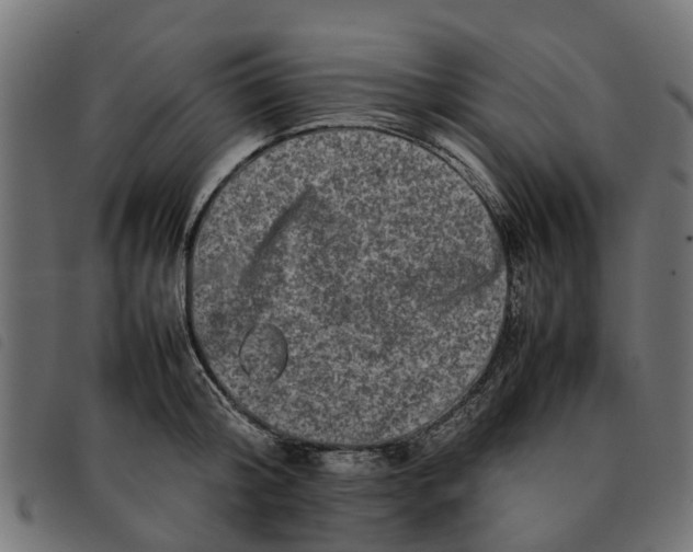 X0000092230804200710121216