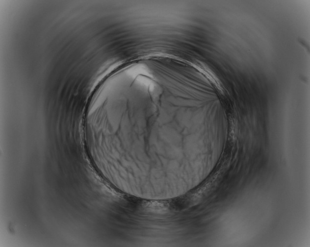 X0000092230806200710121216