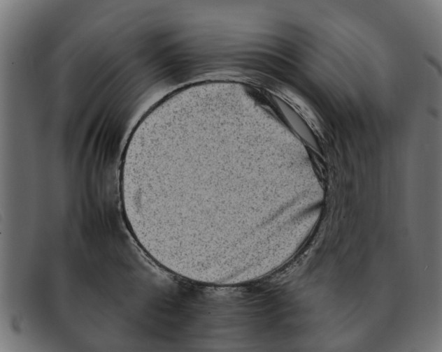 X0000092230808200710121216