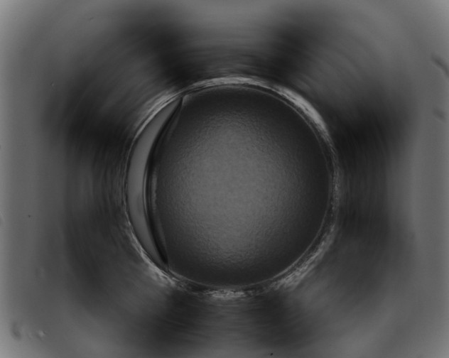 X0000092230809200710121216