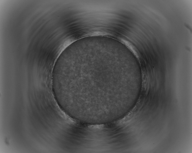 X0000092230810200710121216