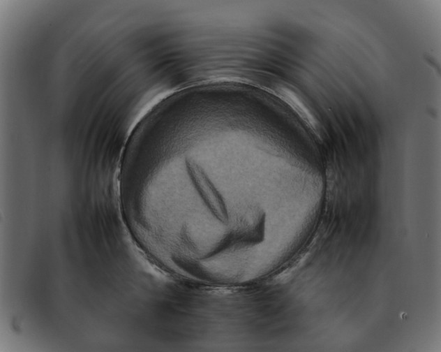 X0000092230814200710121216