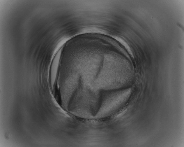 X0000092230815200710121216