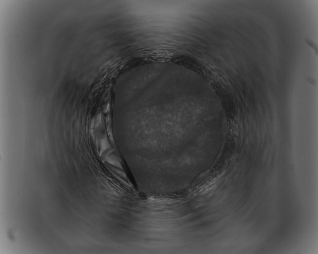 X0000092230818200710121216