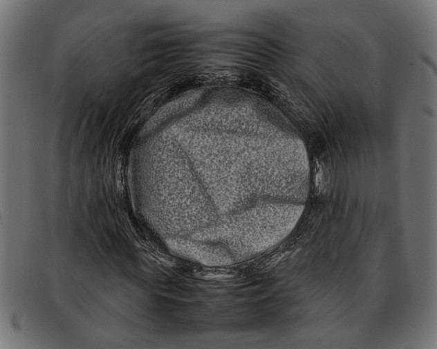 X0000092230819200710121216