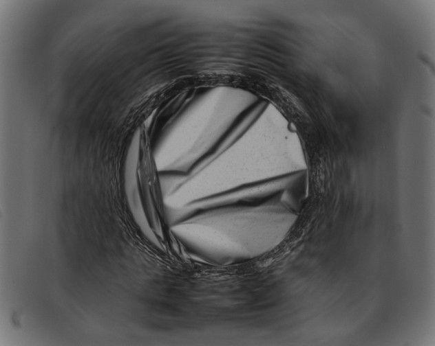 X0000092230821200710121216