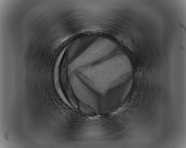 X0000092230822200710121216