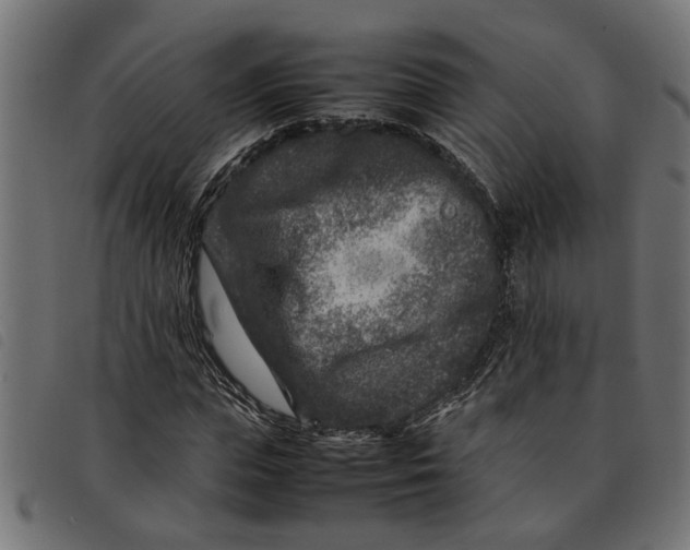 X0000092230823200710121216