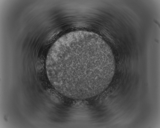 X0000092230824200710121216