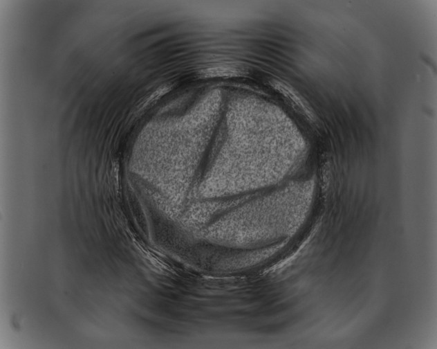 X0000092230825200710121216