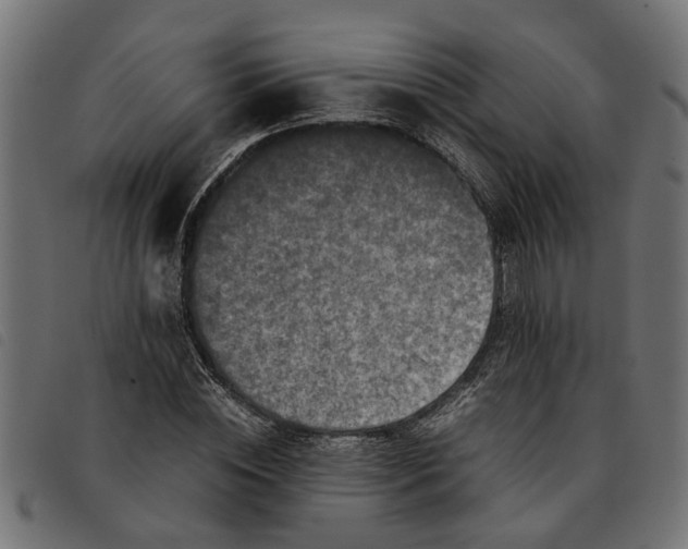 X0000092230828200710121216