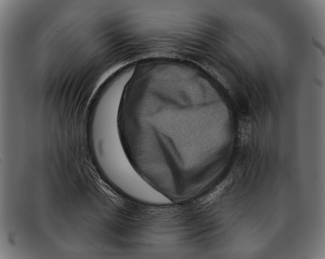 X0000092230830200710121216