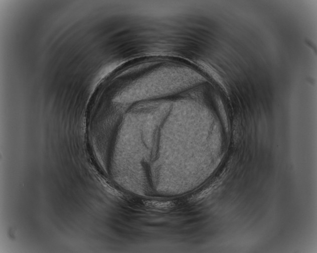 X0000092230831200710121216