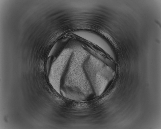 X0000092230833200710121216