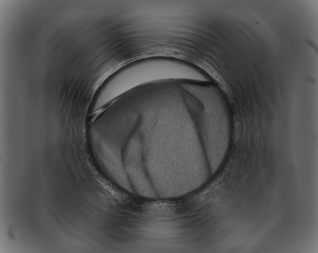 X0000092230834200710121216