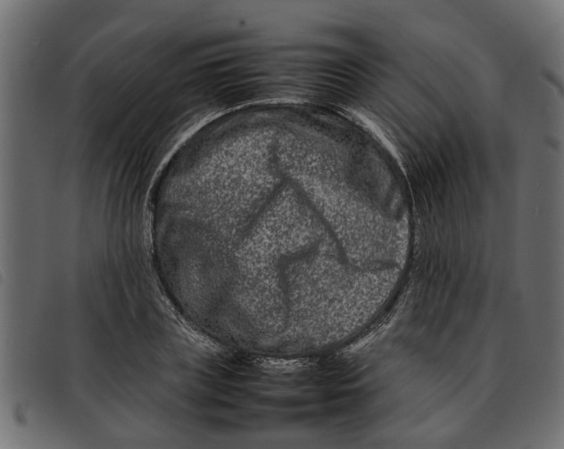 X0000092230835200710121216