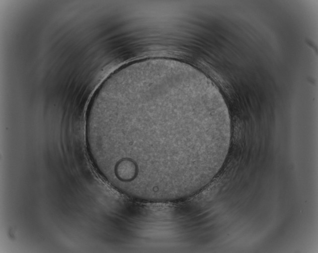 X0000092230836200710121216