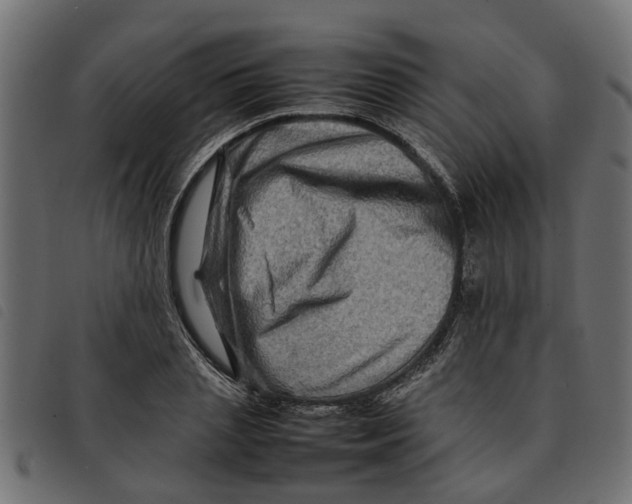 X0000092230837200710121216