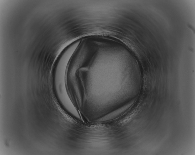 X0000092230838200710121216