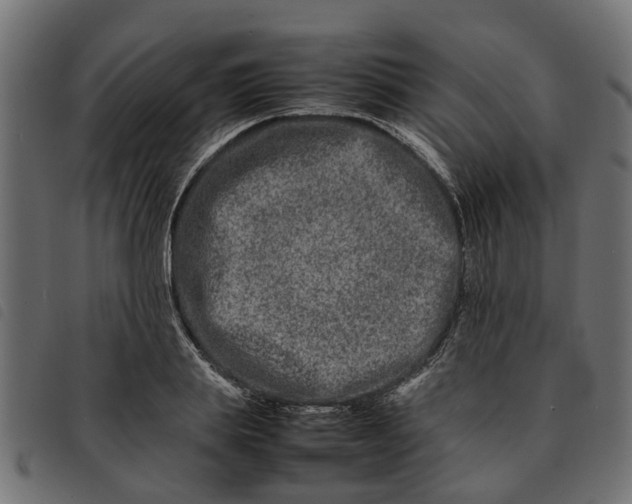 X0000092230839200710121216