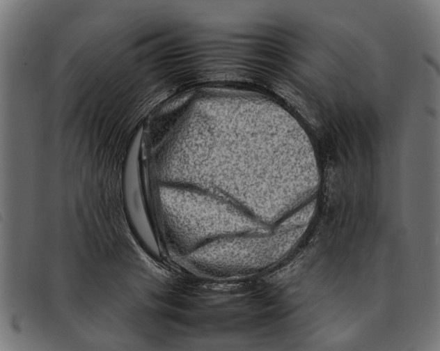 X0000092230841200710121216