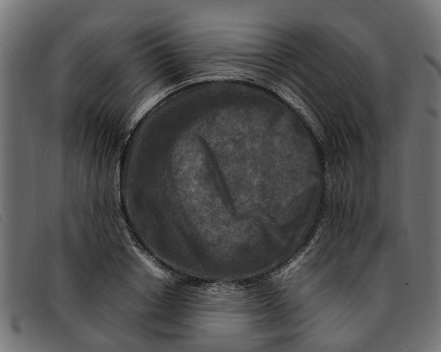 X0000092230842200710121216