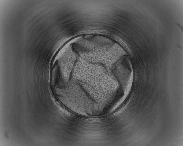 X0000092230844200710121216