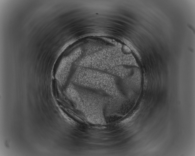 X0000092230845200710121216