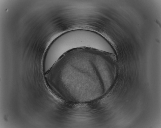 X0000092230846200710121216