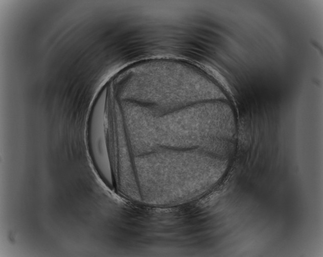 X0000092230847200710121216