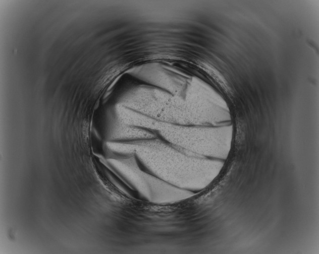 X0000092230849200710121216