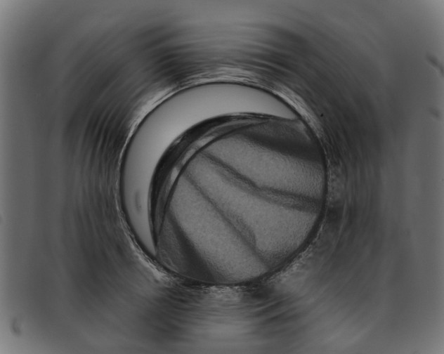 X0000092230850200710121216