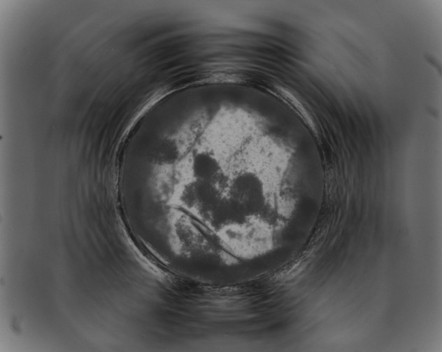 X0000092230851200710121216