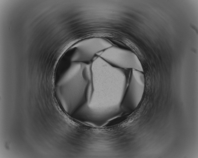 X0000092230852200710121216