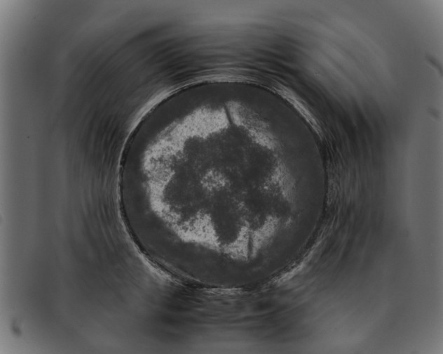 X0000092230853200710121216