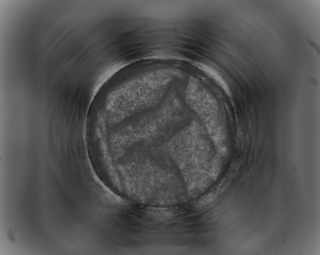 X0000092230855200710121216