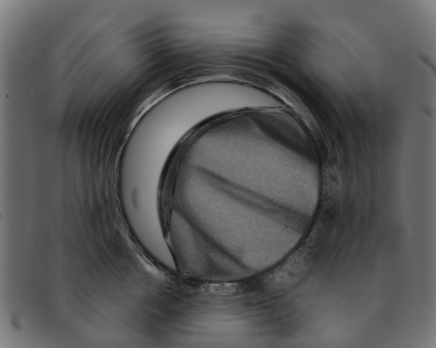 X0000092230858200710121216