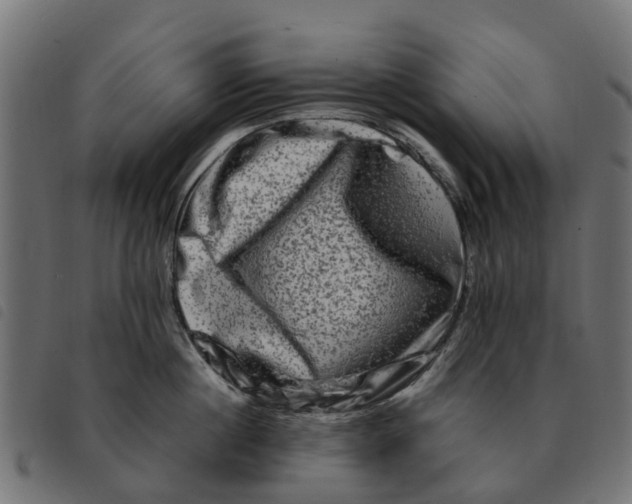 X0000092230860200710121216