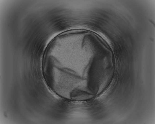 X0000092230862200710121216