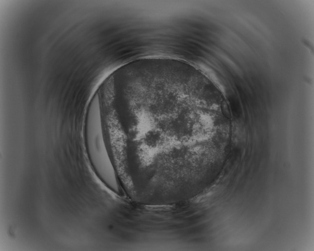 X0000092230863200710121216